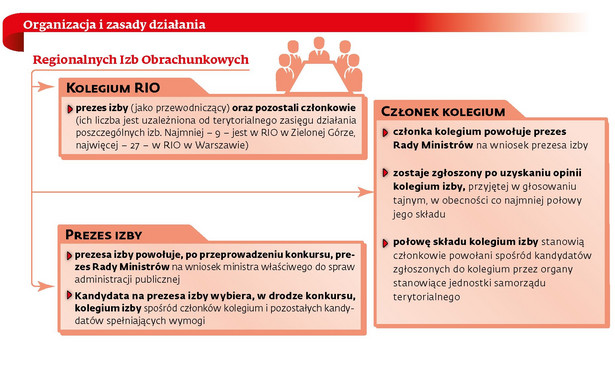 RIO - organizacja i zasady działania