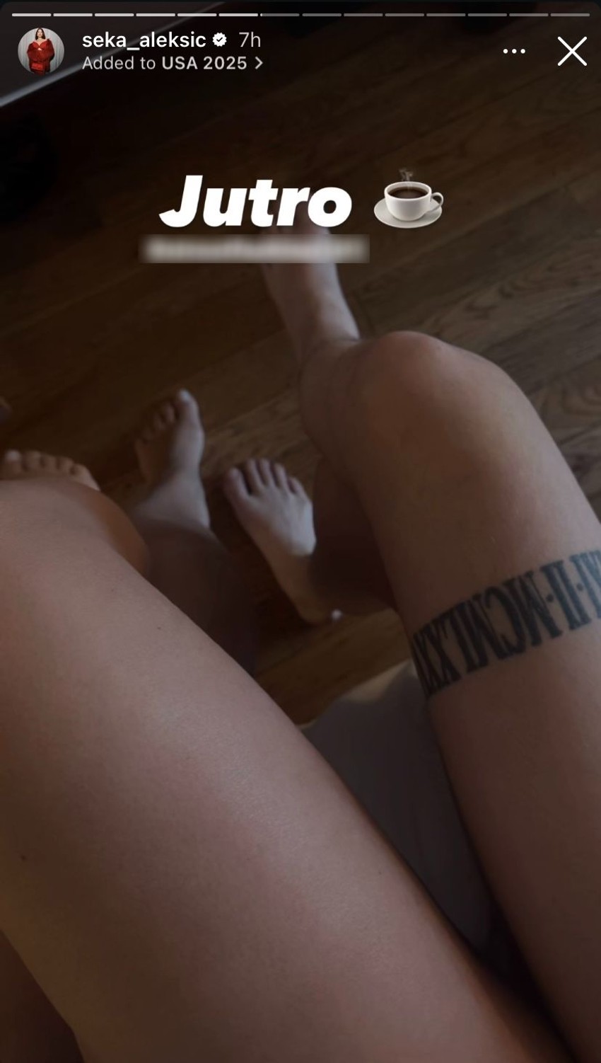 Seka Aleksić, objava na Instagramu