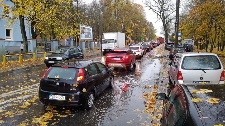 Wichura nad Olsztynem. Na al. Wojska Polskiego na volkswagena spadło drzewo 