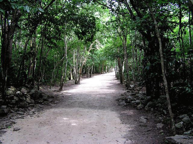 Galeria Meksyk - Riviera Maya, obrazek 31