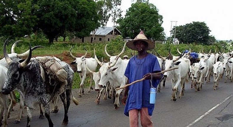 A herdsman