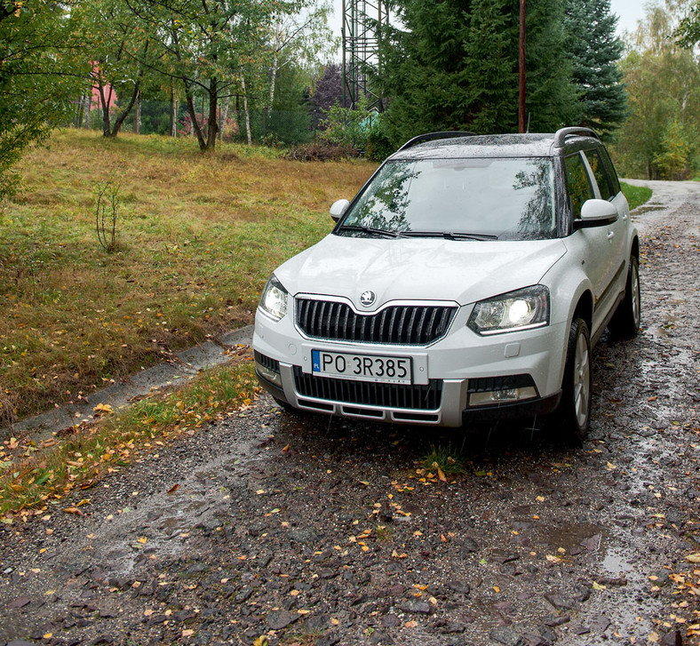 Yeti wraca w góry - czyli, życie daleko od zgiełku