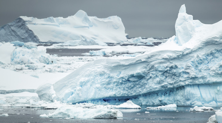 Hemzseg az állatoktól az Antarktiszról leszakadt A74 jéghegy környezete /Illusztráció: Northfoto