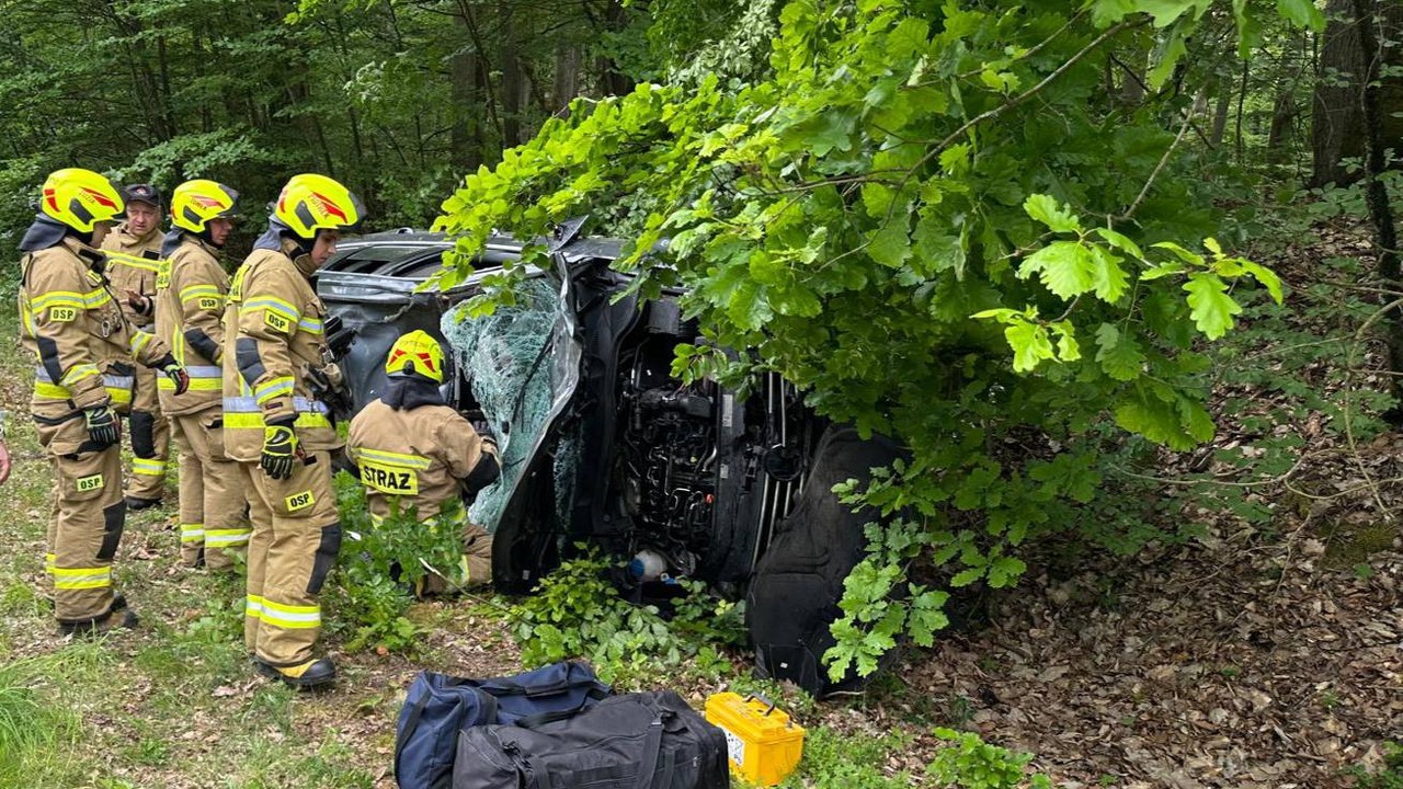 Samochód uderzył w żubra. Dwie osoby trafiły do szpitala