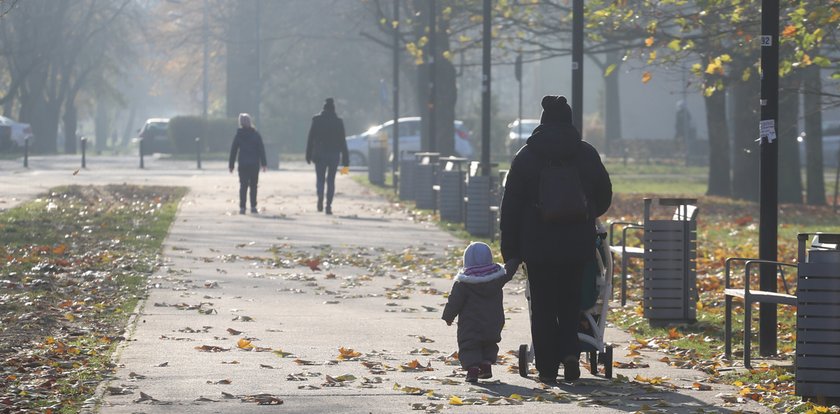 Prognoza pogody na poniedziałek. Do Polski wkracza chłodny front