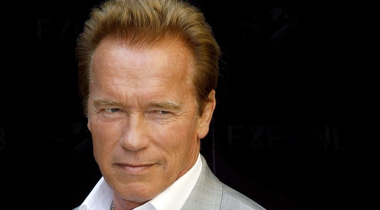 Nem várt tovább, kátyúzott Arnold Schwarzenegger. Fotó: Northfoto