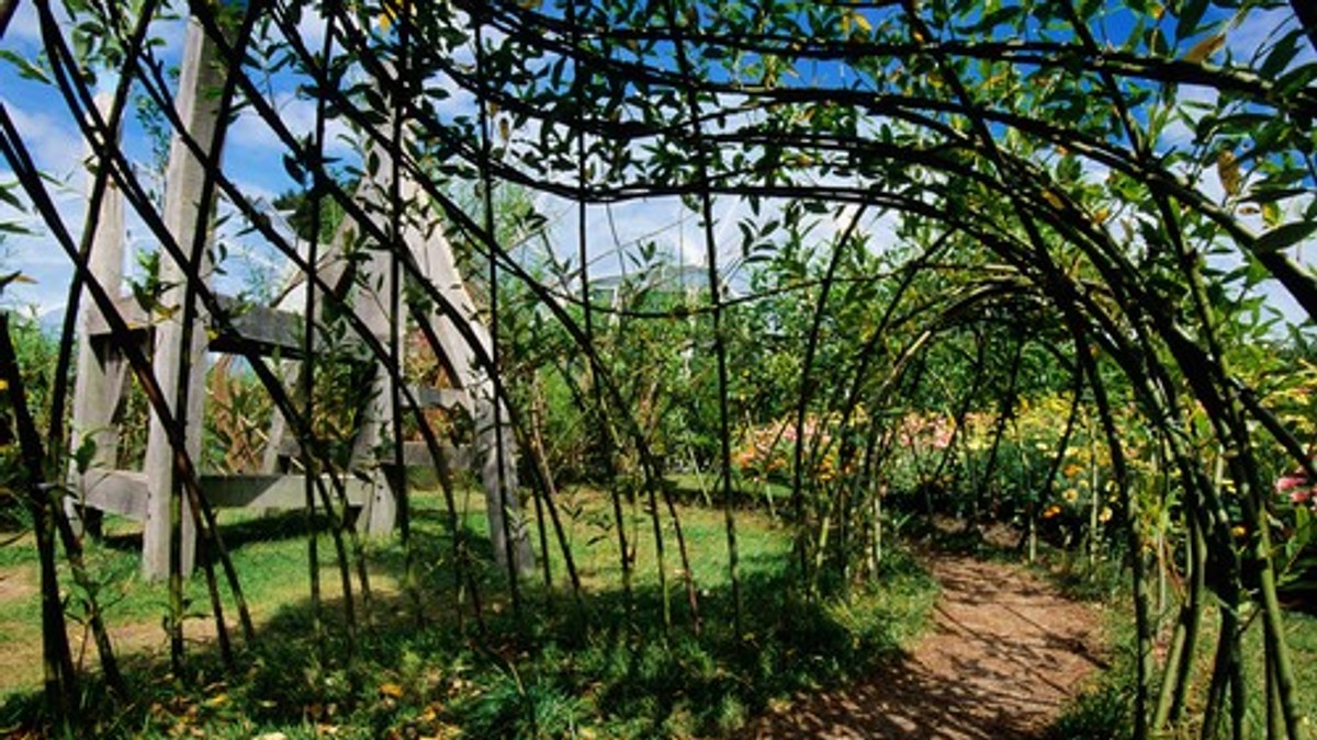 Baštovanima se preporučuje da ovog aprila u svom vrtu preduzmu jednu ključnu stvar: Nikako je ne preskačite