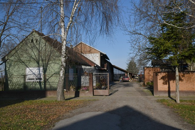 Jarak ubistvo u šumi zbog tartufa