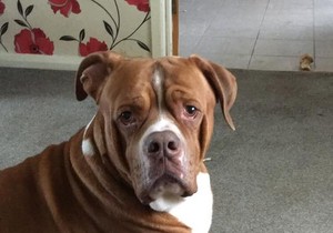 45256754 10161286283780457 3657044578143305728 n