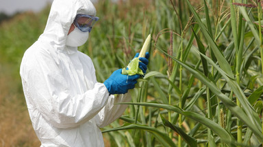 Co trzeba wiedzieć o GMO - najważniejsze fakty