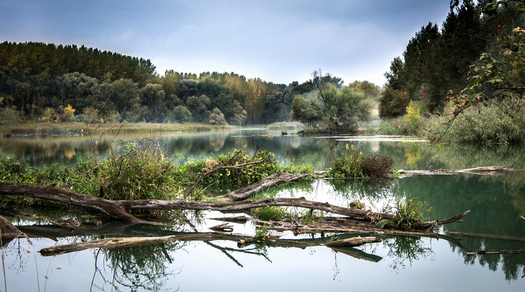 Tömegével pusztulnak a halak a Duna-Tisza-csatornán / Illusztráció / Fotó: Pixabay