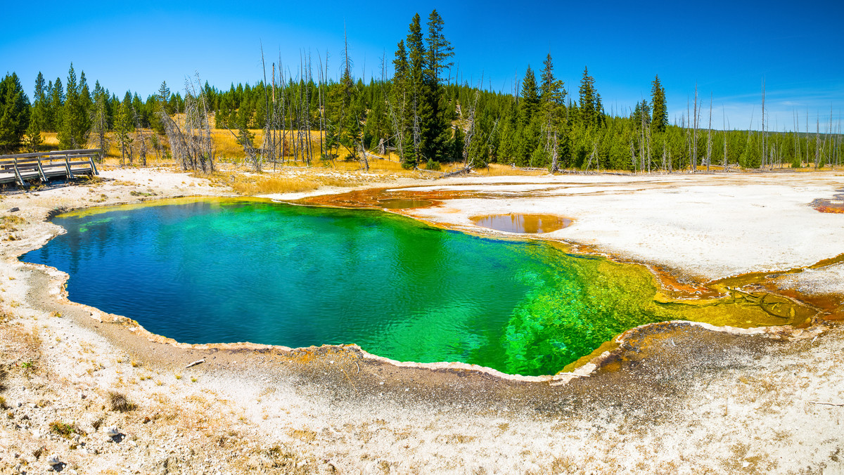 Makabryczne odkrycie w Yellowstone. W gorącym źródle znaleziono ludzką stopę