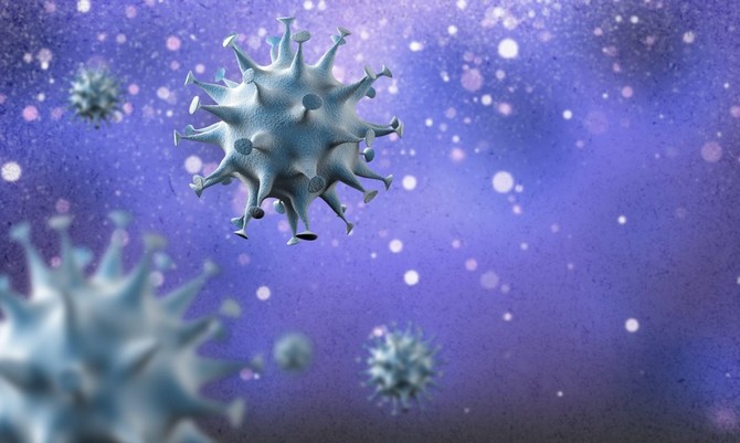 Korona virus