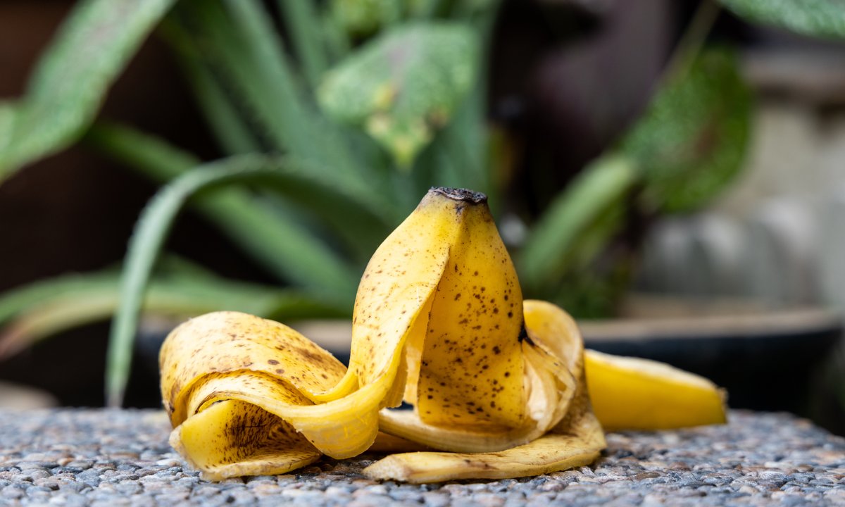 Nie wyrzucaj skórki bananów do kosza. Zakop je w ogrodzie
