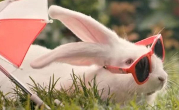 Kontrowersyjna kampania "Mnóżmy się jak króliki" zauważona nie tylko w Polsce