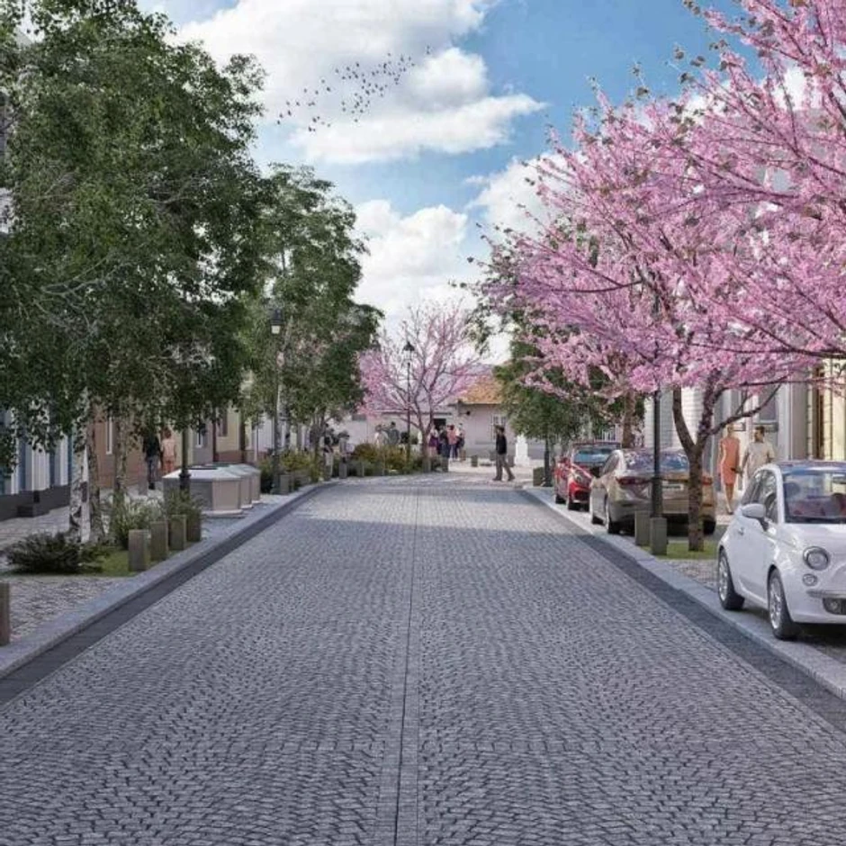 Budući izgled Almaškog kraja