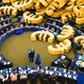 parlament europejski europosłowie biura przekręt afera