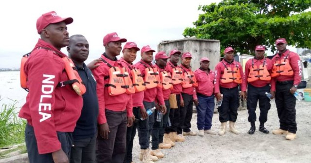 NDLEA destroyed 4 Cannabis farmlands in Bauchi – Commander - Vimarsana News