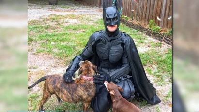 Igazi hős: Batmannek öltözve ment állatokat egy fiatal férfi