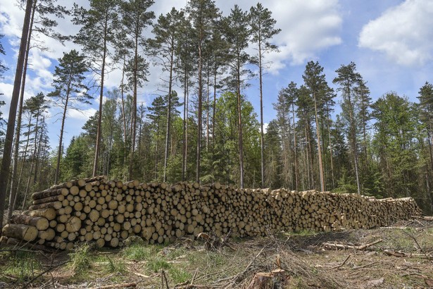 Komisja Praw Człowieka przy NRA tłumaczy, że decydując o udzieleniu ochrony tymczasowej Trybunał nie przesądził jeszcze, czy zarzuty Komisji Europejskiej wobec Polski są słuszne