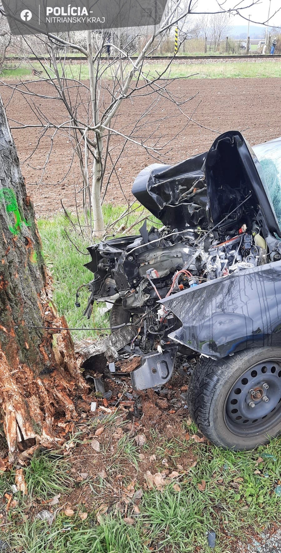 Vodič Renaultu neprežil náraz do stromu v obci Hronské Kľačany.