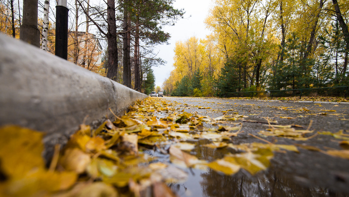 Pogoda Białystok na dziś. Prognoza pogody 2018-10-02