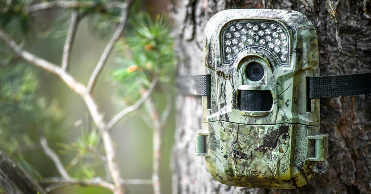 Fotopułapki. Tych modeli możecie użyć jako niezawodny, domowy monitoring