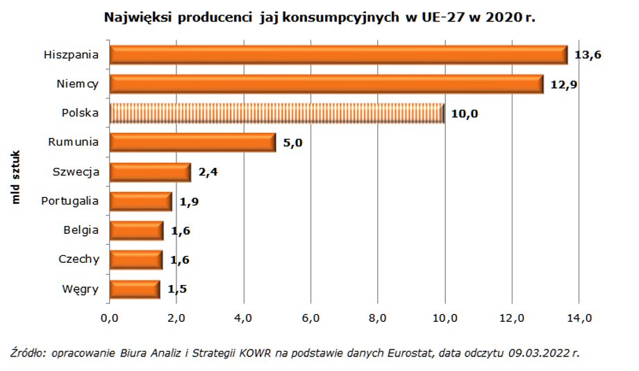 Polska jest jednym z najważniejszych producentów jaj w UE