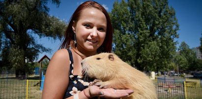 Nutria staje się gwiazdą stolicy!