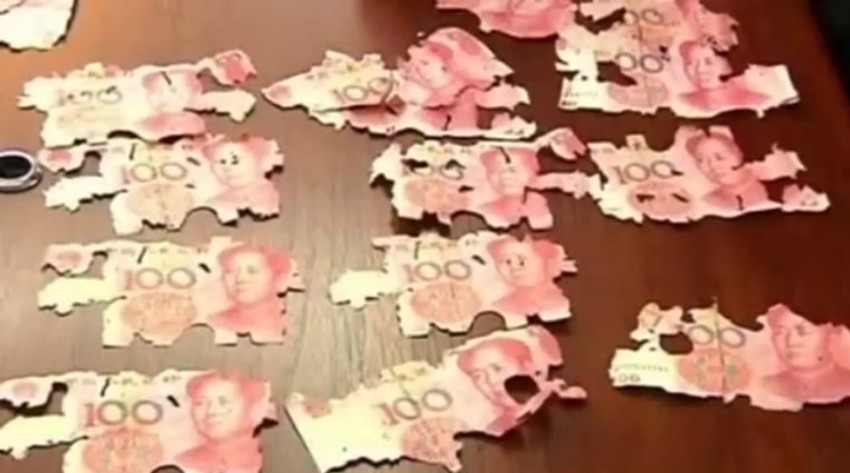 Ovo je ostalo od ušteđevine posle najezde termita