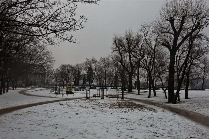 Poznań, odśnieżanie, parki, drogi