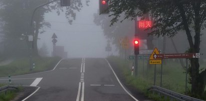 Kierowcy zdumieni! Na tablicy w Gładyszowie pojawiały się takie napisy