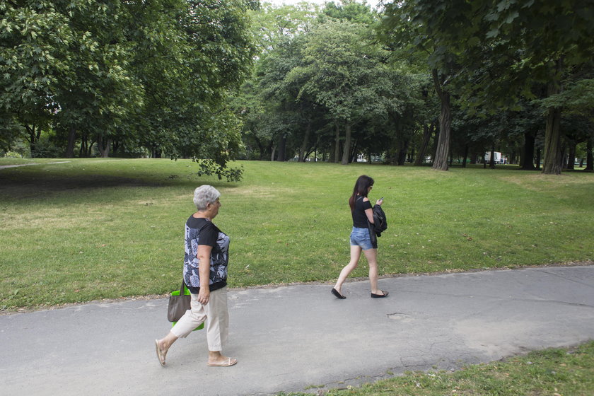 Wyremontują chodniki w poznańskim parku Marcinkowskiego