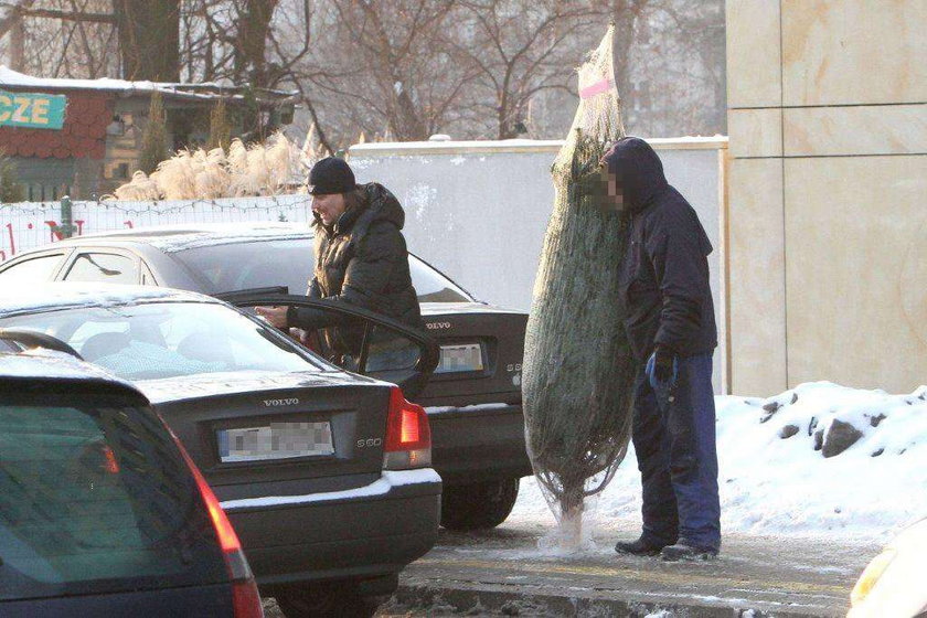 Agent Tomek kupuje choinkę