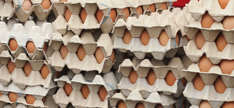 GIS ostrzega: jaja z pałeczkami salmonelli wycofane ze sprzedaży