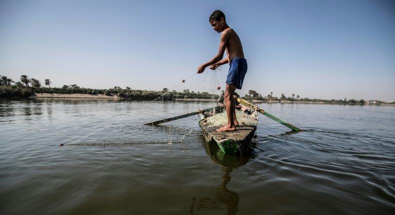 A young Egyptian fisherman pulls his net in the River Nile in a village near Minya, south of the capital Cairo
