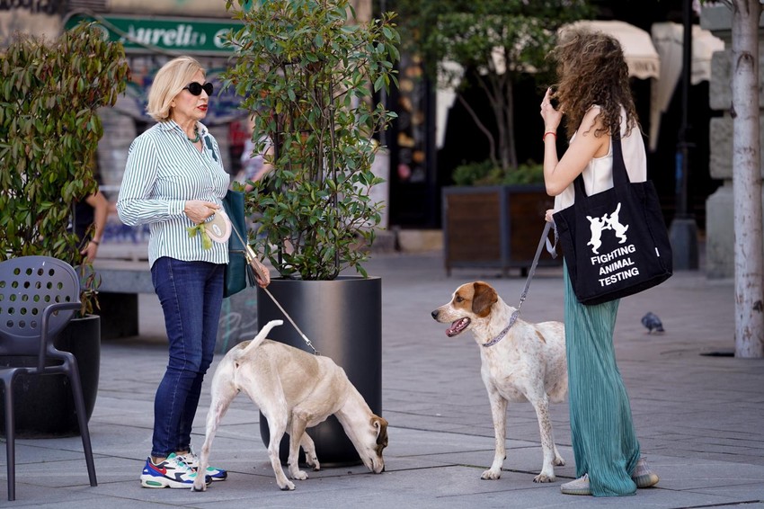 Ovaj dan se obeležava po 13. put u svetu, a u Srbiji drugi put