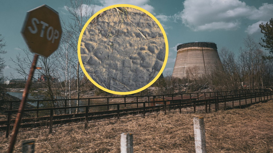 Na terenie Czarnobyla pojawiły się tajemnicze ślady (fot. screen: Facebook/Napromieniowani)