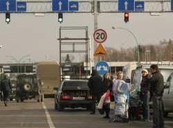 Mrówki nie mają już siły na protesty