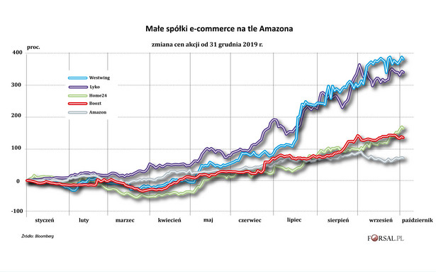Małe spółki e-commerce na tle Amazona
