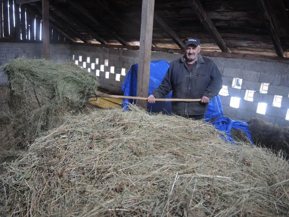 Sreten Piščević: Pre ti godine imao je 16 goveda, više nego danas celo selo zajedno