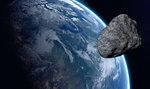 Asteroida Apophis uderzy w Ziemię? Naukowcy wyznaczyli datę