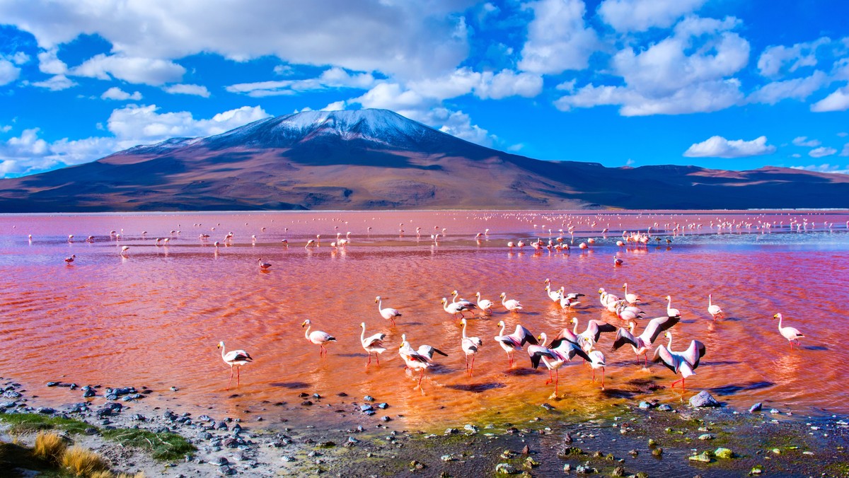 Laguna Colorada, Boliwia