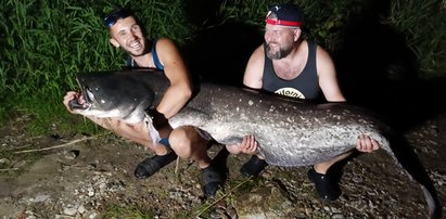 Sum gigant połknął haczyk. Dwie godziny męczyli się, żeby wyciągnąć wielką rybę