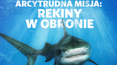 Tydzień z rekinami: "Arcytrudna misja: rekiny w obronie" w sobotę 26 sierpnia w Nat Geo Wild