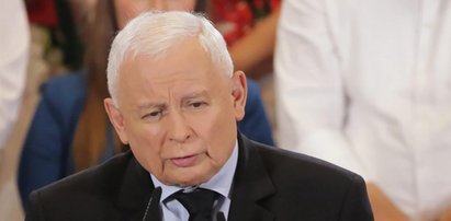 Jarosław Kaczyński grzmi po reakcji na spot PiS: połowa KO do mnie dzwoni