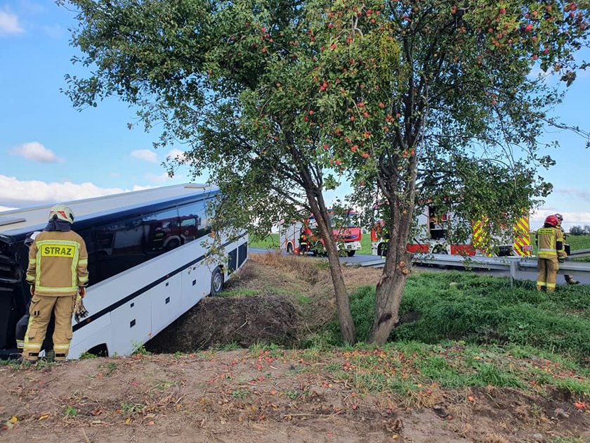 Kujawsko-pomorskie. Wypadek autobusu. 31 dzieci trafiło do szpitali