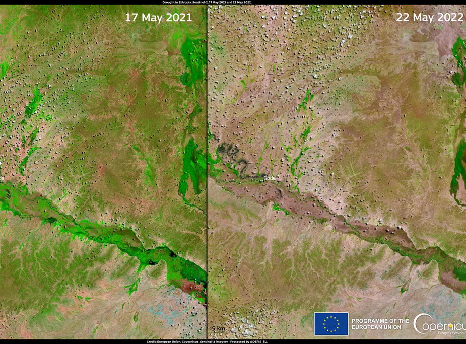 Niedoboru wody w rejonie Gode w Etiopii między majem 2021 r. (z lewej) i majem 2022 r. (z prawej)