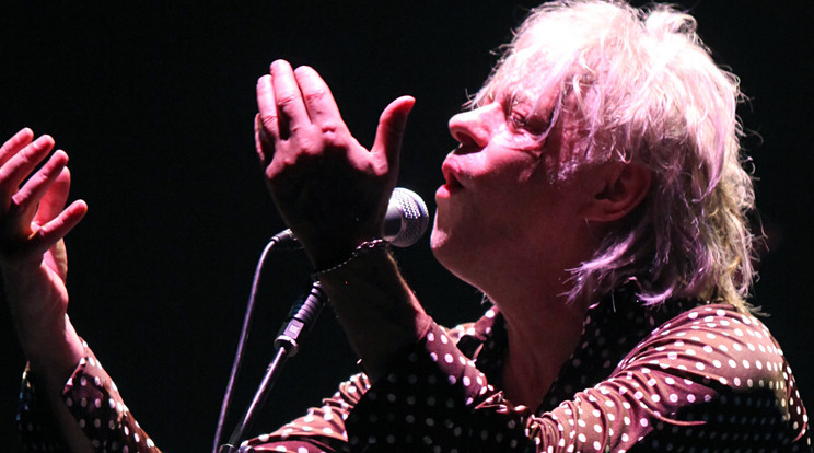 Bob Geldofnak valahova nagyon elgurult a gyógyszere / Fotó: Northfoto