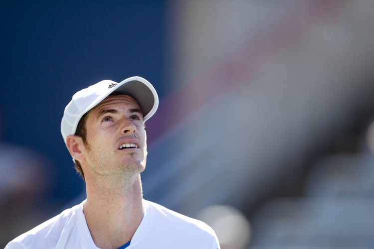 8. Andy Murray - zarobił 14,9 mln dol.